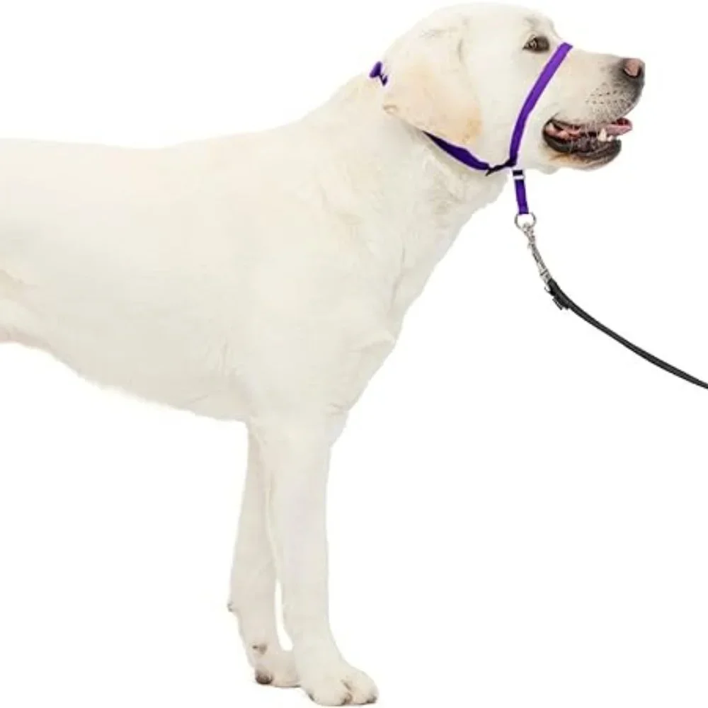 PetSafe Gentle Leader No-Pull Large Dog Headcollar Purple + DVD (60-130 lbs)